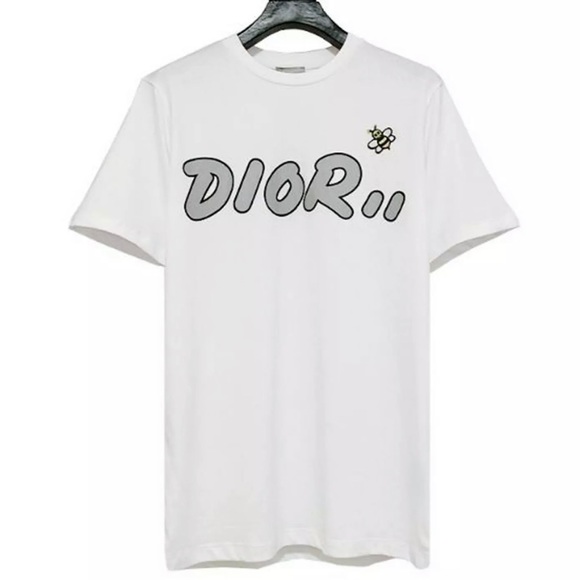 kaws dior collab